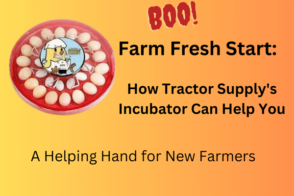 Incubator at Tractor Supply