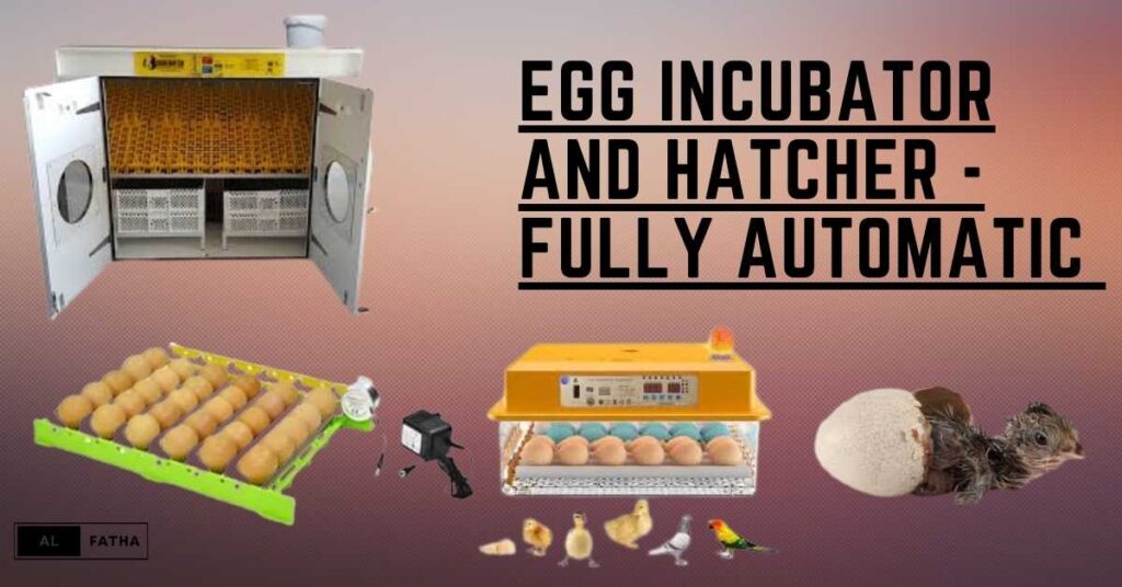 Incubator with Egg Turner Excellence: Pioneering the Future of Poultry Incubation!