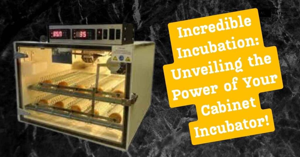 Incredible Incubation: Unveiling the Power of Your Cabinet Incubator!