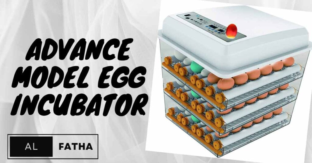 Incubator for Eggs Breakthroughs: Transforming Your Hatch Game