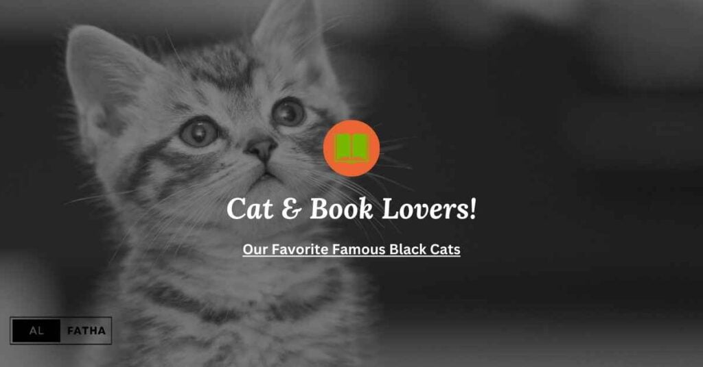 Black Cats Exposed: Unraveling the Intriguing Persona and Myths
