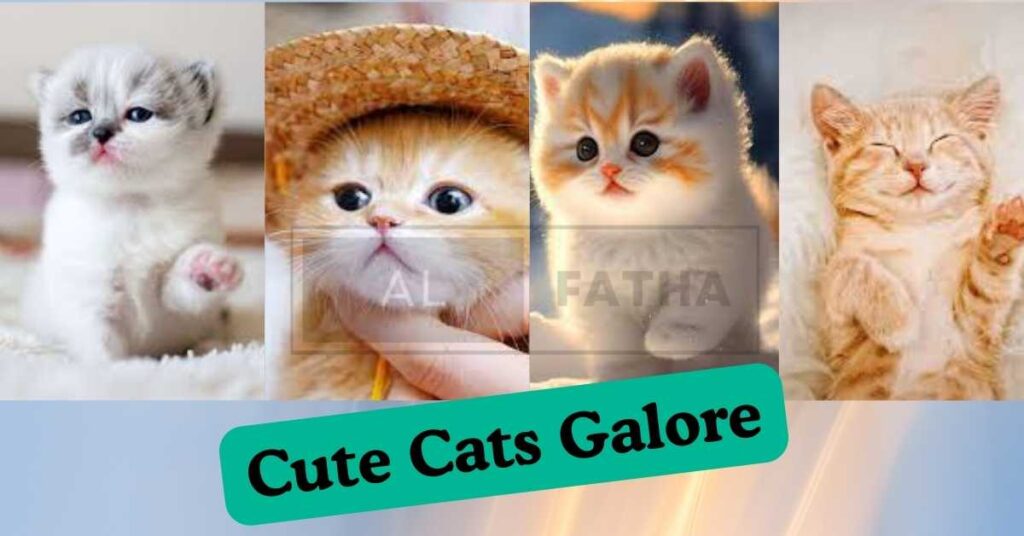 Cute Cats 101: A Journey into the Heartwarming Universe of Feline Sweetness