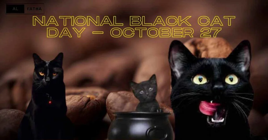 Black Cats Awaken: The Renaissance of Feline Fascination