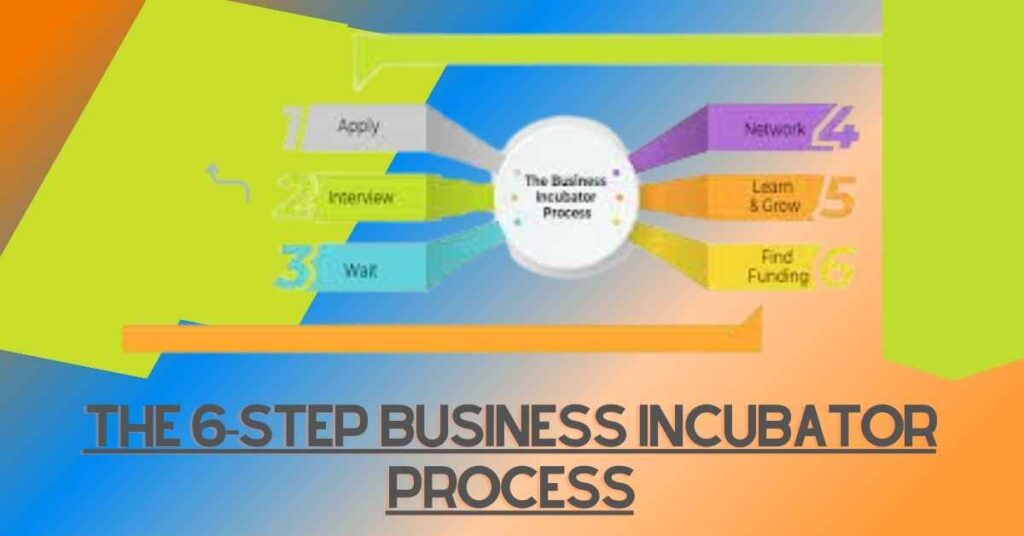 Business Incubator Definition 101: Your Path to Entrepreneurial Triumph