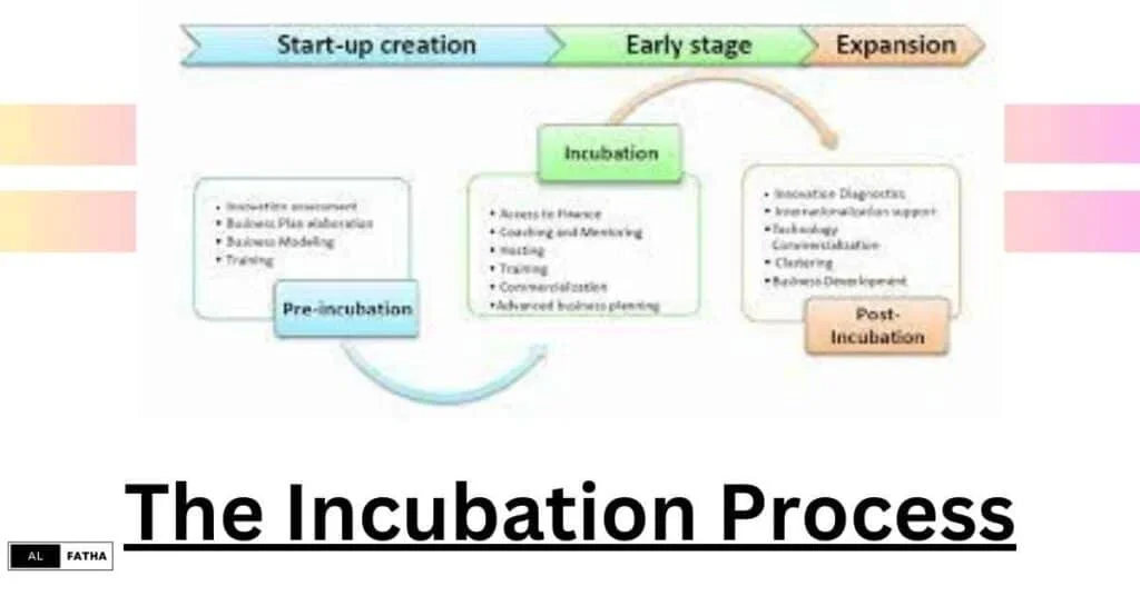 From Idea to Impact: Embracing the Business Incubator Definition