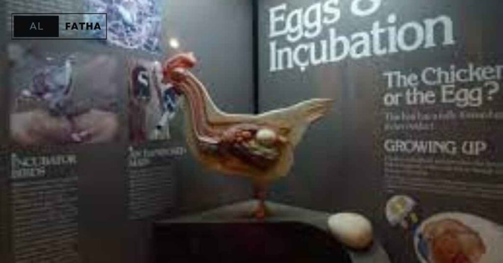 Incubator for Eggs Explained: A Deep Dive into Hatching Tech