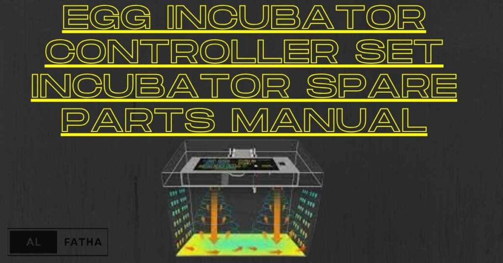 Eggspert Advice: How to Select the Ideal Incubator for Your Eggs