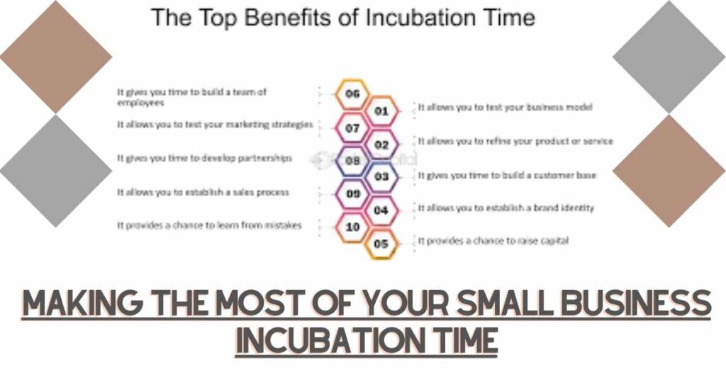 Incubator Definition Unraveled: Elevate Your Business Potential