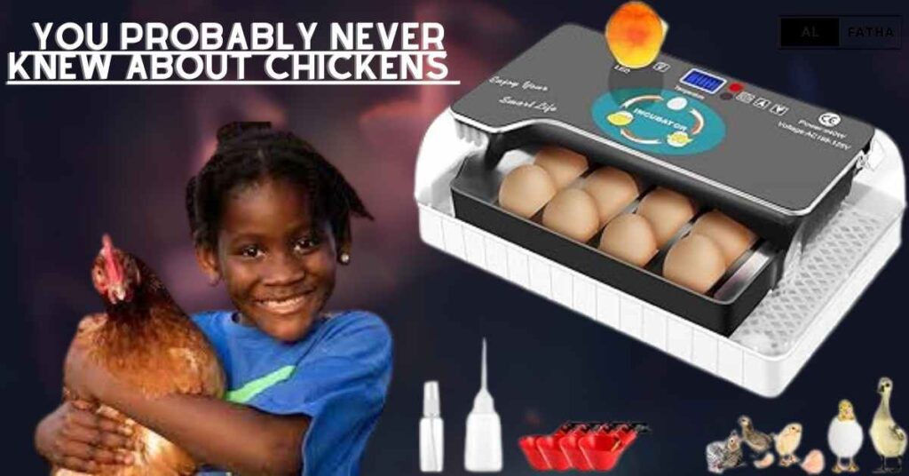 Chicken Incubator Magic: Unleash the Power of Successful Hatching!