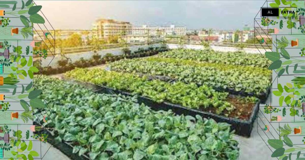 Urban Gardening Revolution: Bringing Nature to Urban Landscapes!